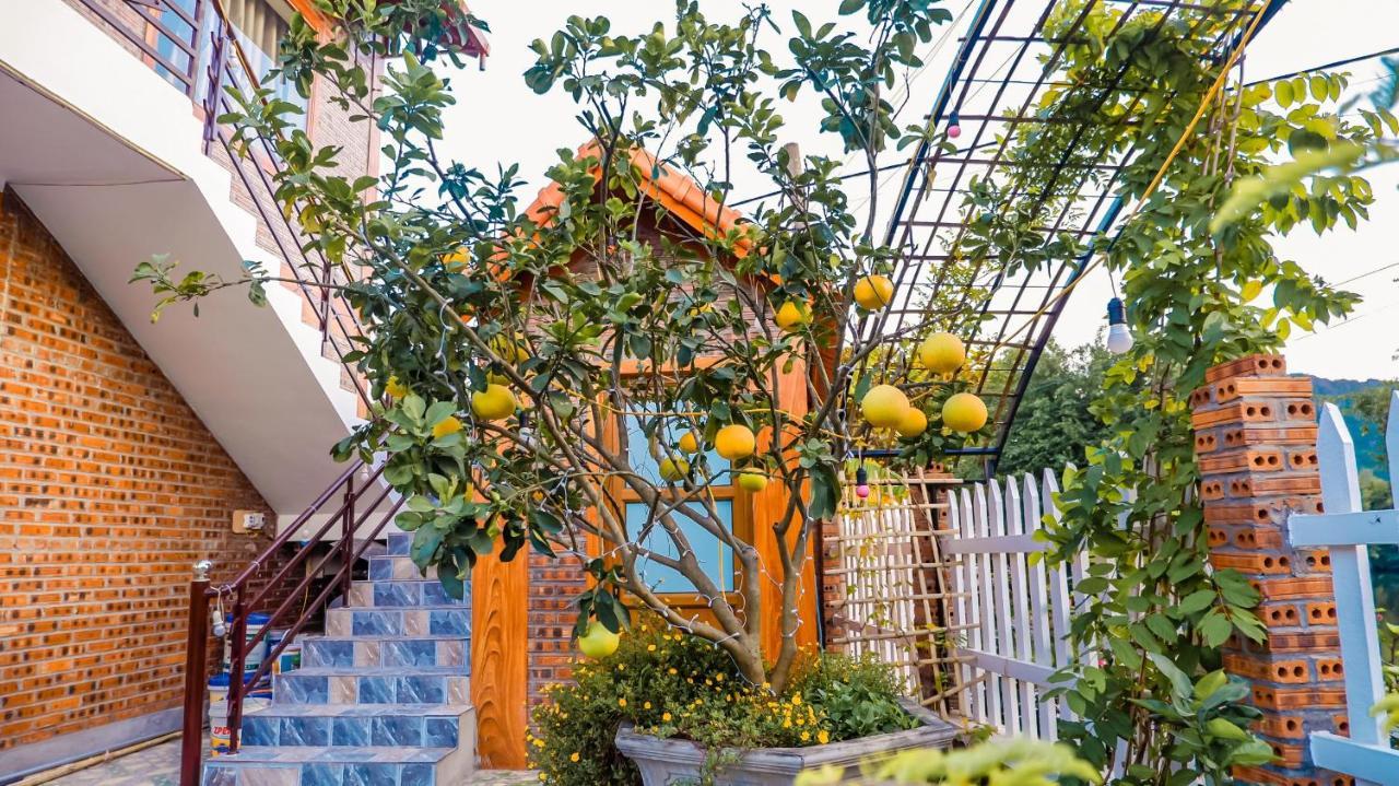 Cosiana Homestay Ninh Binh Esterno foto