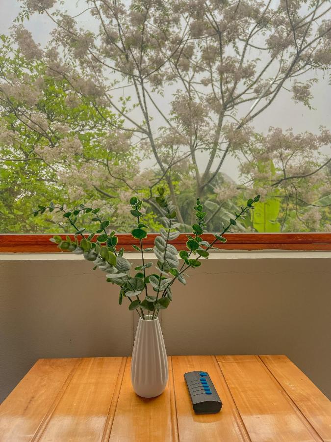 Cosiana Homestay Ninh Binh Esterno foto
